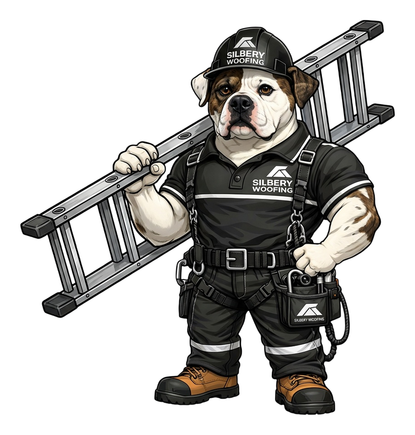 Leo carrying a ladder